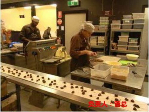 探索海外就業(yè)機(jī)遇 常州赴德國勞務(wù)與挪威清真食品廠招聘解析